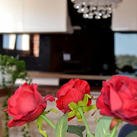 Zara Apartman Pašman